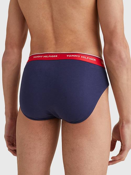 Blue Tommy Hilfiger 3-Pack Cotton Briefs Men's Underwear | TH071YCR