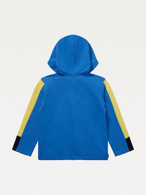 Blue Tommy Hilfiger Adaptive Colour-Blocked Boys' Hoodie | TH792KSQ