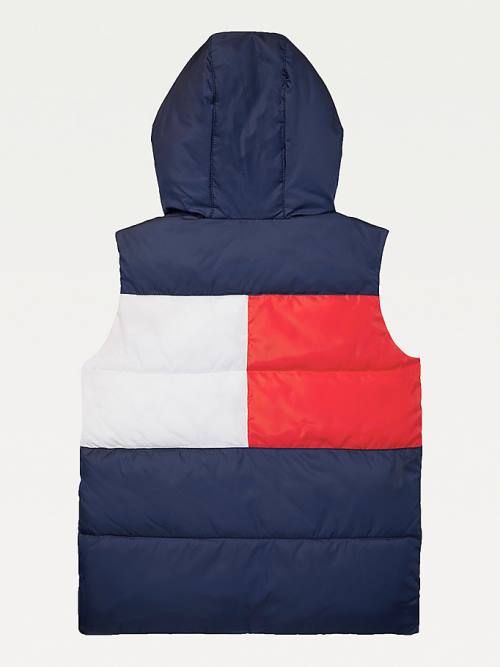 Blue Tommy Hilfiger Adaptive Hooded Flag Vest Boys' Jackets | TH036ZLW