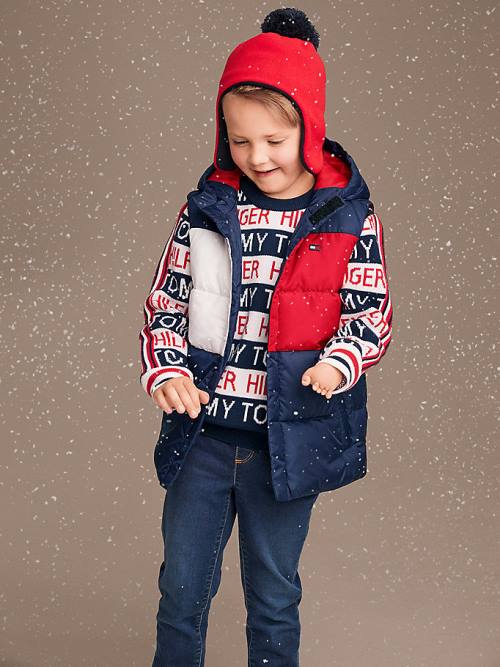 Blue Tommy Hilfiger Adaptive Hooded Flag Vest Boys\' Jackets | TH036ZLW