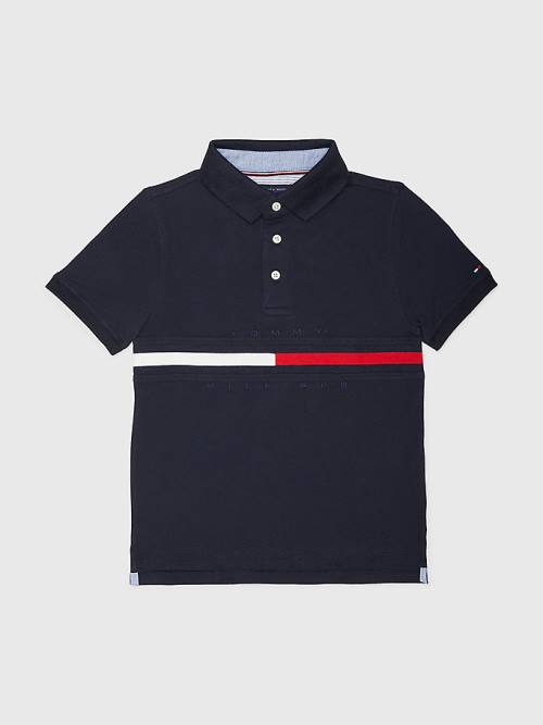 Blue Tommy Hilfiger Adaptive Icons Stripe Polo Boys\' T Shirts | TH258HPR