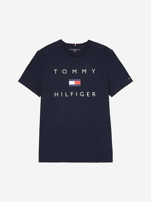 Blue Tommy Hilfiger Adaptive Pure Cotton Logo Men\'s T Shirts | TH093CHY