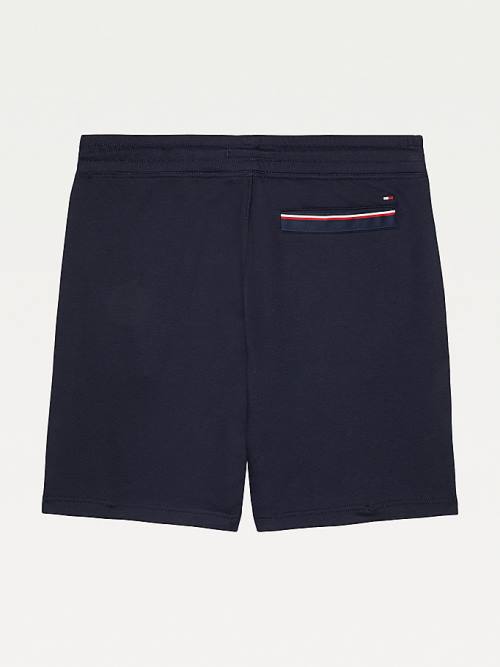 Blue Tommy Hilfiger Adaptive Regular Fit Men's Shorts | TH803RWN