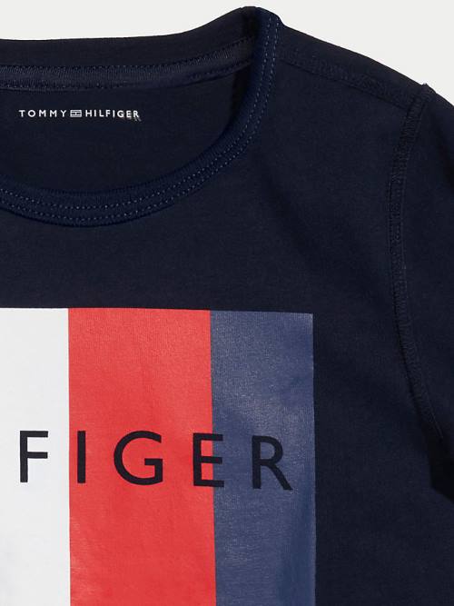 Blue Tommy Hilfiger Adaptive Sensory Flag Logo Boys' T Shirts | TH083YCE