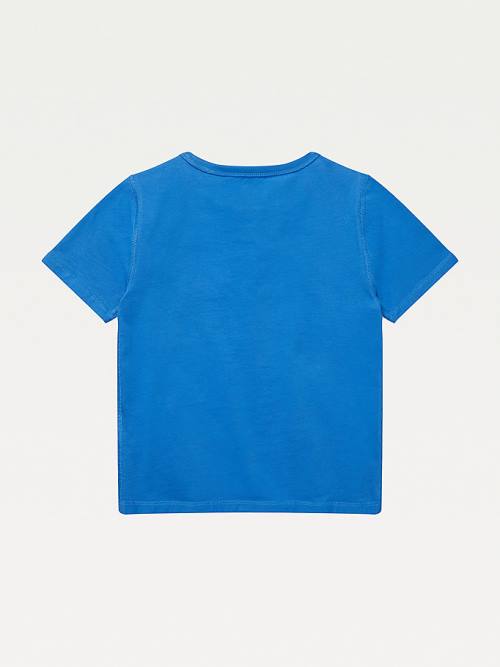 Blue Tommy Hilfiger Adaptive Sensory Gaming Print Boys' T Shirts | TH983NWY