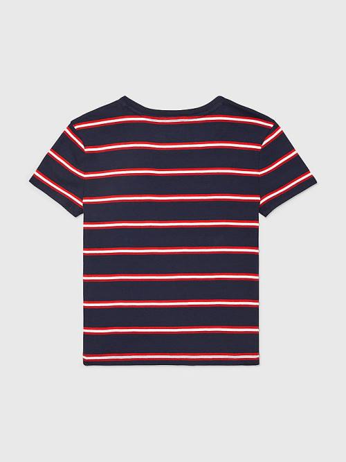 Blue Tommy Hilfiger Adaptive Stripe Multicolour Logo Women's T Shirts | TH593HNE