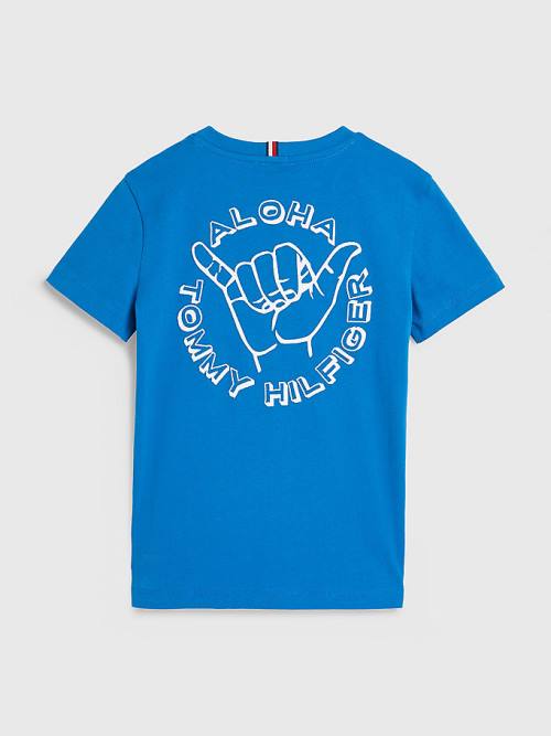 Blue Tommy Hilfiger Aloha Logo Boys' T Shirts | TH162YUM