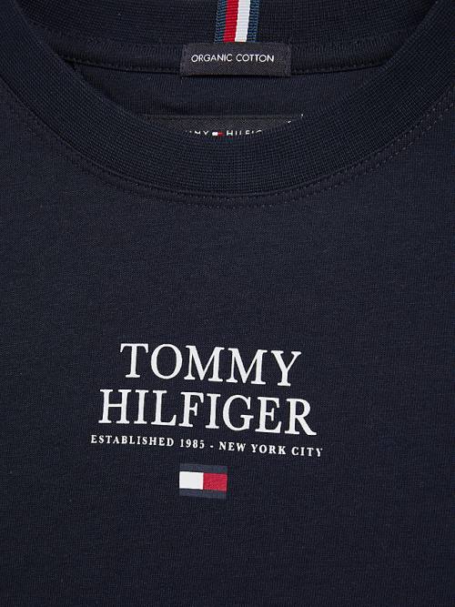 Blue Tommy Hilfiger Contrast Tape Long Sleeve Boys' T Shirts | TH016YBQ