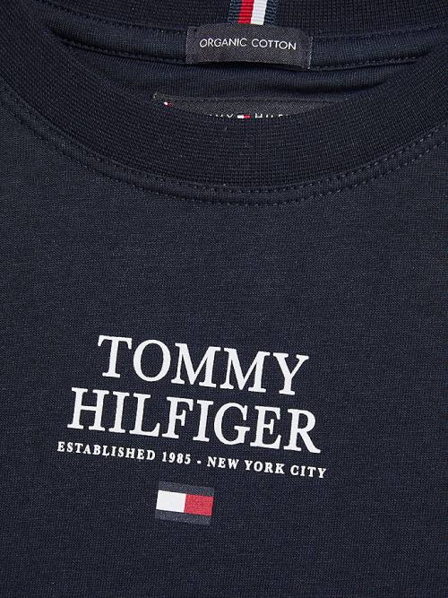 Blue Tommy Hilfiger Contrast Tape Long Sleeve Boys' T Shirts | TH754VMI