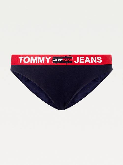 Blue Tommy Hilfiger Curve Contrast Waistband Briefs Women's Underwear | TH531NXP