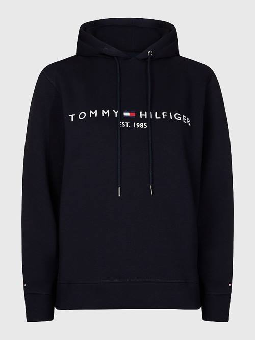 Blue Tommy Hilfiger Curve Logo Drawstring Women's Hoodie | TH201COR