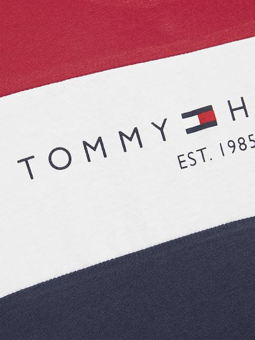 Blue Tommy Hilfiger Essential Colour-Blocked Organic Cotton Boys' T Shirts | TH654TEU