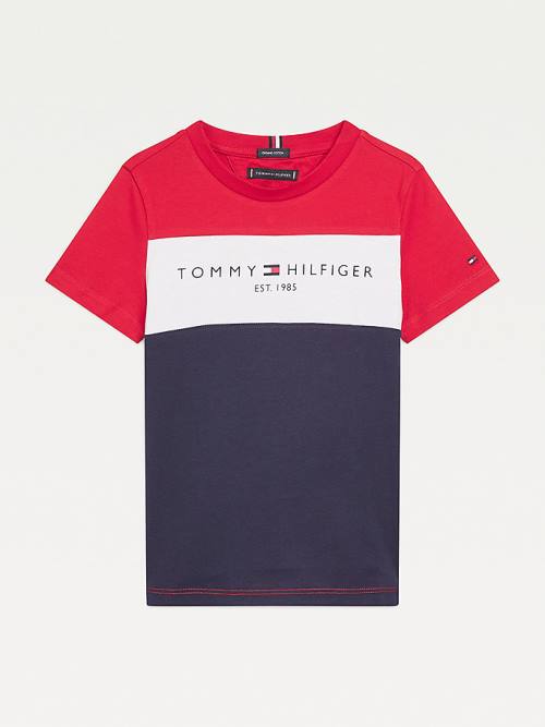 Blue Tommy Hilfiger Essential Colour-Blocked Organic Cotton Boys\' T Shirts | TH654TEU