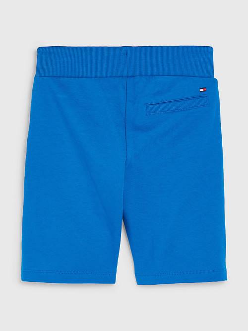 Blue Tommy Hilfiger Essential Drawstring Sweat Shorts Boys' Pants | TH097CAK