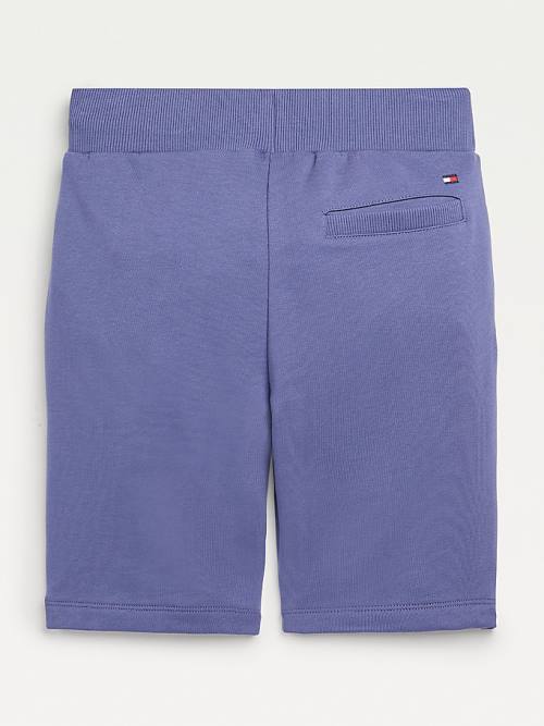 Blue Tommy Hilfiger Essential Drawstring Sweat Shorts Boys' Pants | TH941OZF