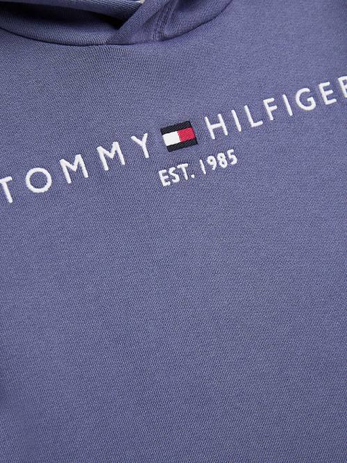 Blue Tommy Hilfiger Essential Logo Boys' Hoodie | TH673XKC