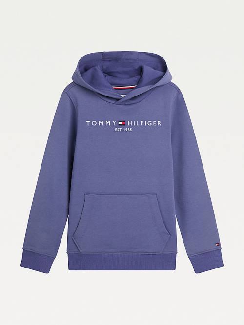 Blue Tommy Hilfiger Essential Logo Boys\' Hoodie | TH673XKC