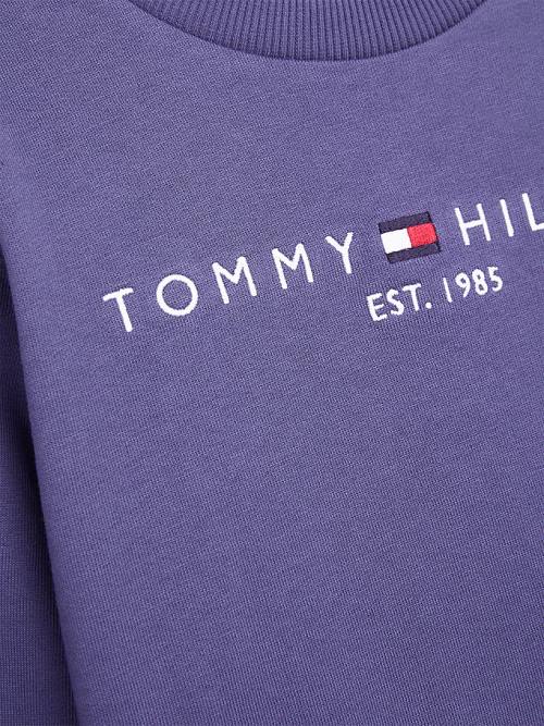 Blue Tommy Hilfiger Essential Logo Boys' Sweatshirts | TH956TXN