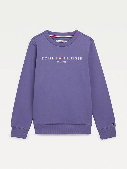 Blue Tommy Hilfiger Essential Logo Boys\' Sweatshirts | TH956TXN