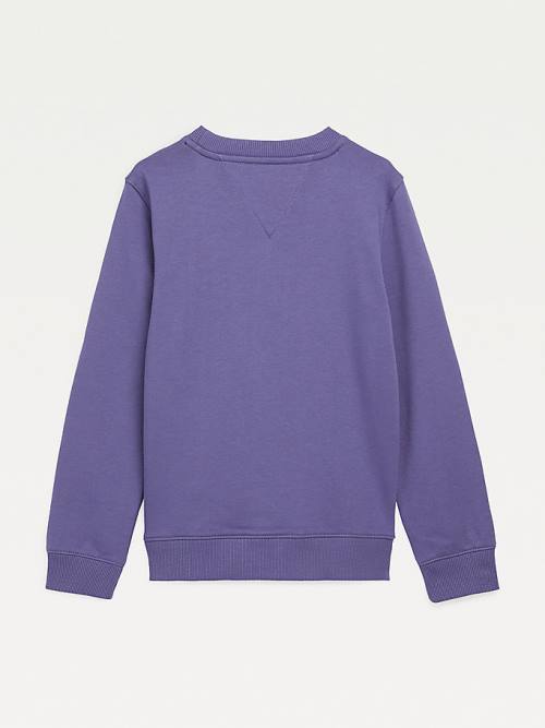 Blue Tommy Hilfiger Essential Logo Girls' Sweatshirts | TH807TFI