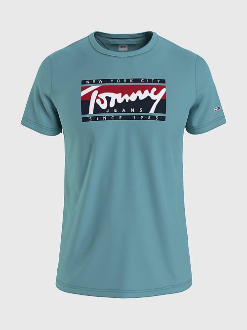 Blue Tommy Hilfiger Essential Logo Men\'s T Shirts | TH367CIA