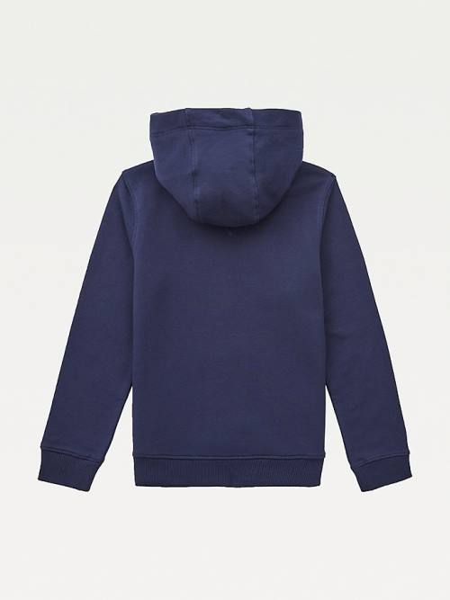 Blue Tommy Hilfiger Essential Logo Organic Cotton Girls' Hoodie | TH158WNA