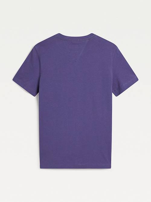 Blue Tommy Hilfiger Essential Organic Cotton Boys' T Shirts | TH165XVJ