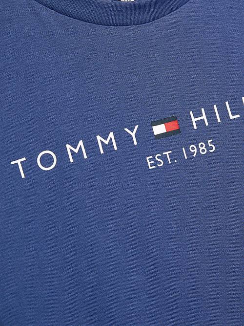 Blue Tommy Hilfiger Essential Organic Cotton Girls' T Shirts | TH172MTX