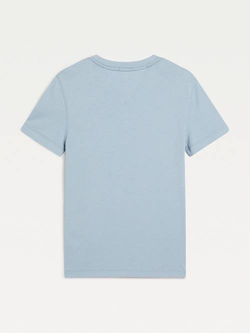 Blue Tommy Hilfiger Essential Organic Cotton Boys' T Shirts | TH530OWU