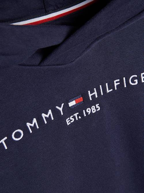 Blue Tommy Hilfiger Essential Ruched Detailing Girls' Hoodie | TH739BLR