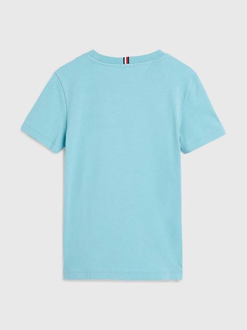 Blue Tommy Hilfiger Flag Logo Boys' T Shirts | TH720LRY