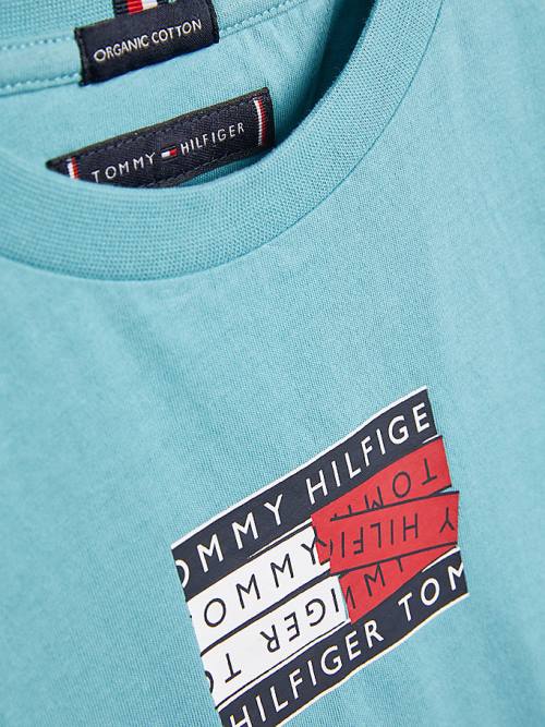 Blue Tommy Hilfiger Flag Logo Boys' T Shirts | TH720LRY