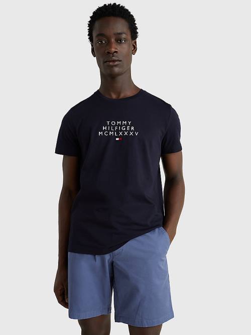 Blue Tommy Hilfiger Graphic Logo Men's T Shirts | TH236WDI