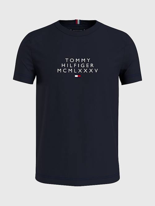 Blue Tommy Hilfiger Graphic Logo Men\'s T Shirts | TH236WDI