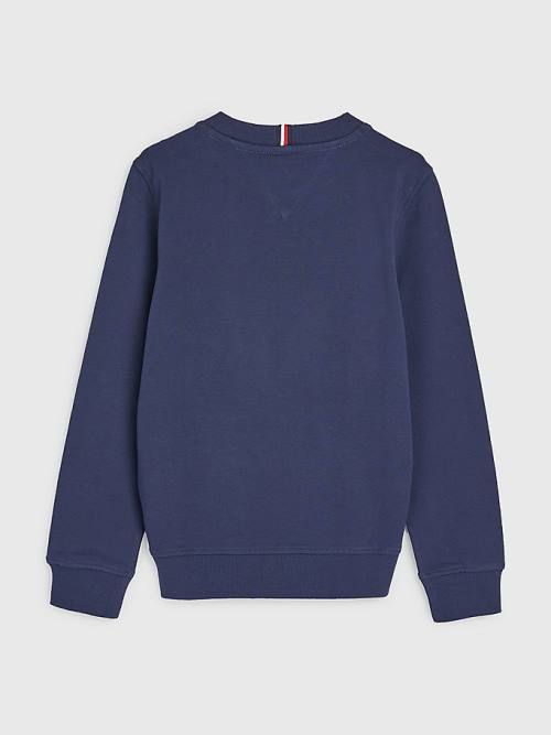 Blue Tommy Hilfiger Graphic Tape Logo Boys' Sweatshirts | TH792GQZ