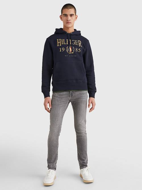 Blue Tommy Hilfiger Icons Logo Embroidery Relaxed Fit Men's Hoodie | TH421EOR