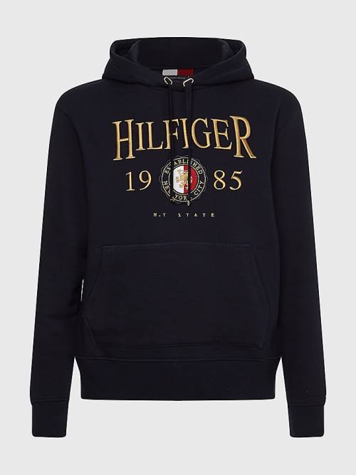 Blue Tommy Hilfiger Icons Logo Embroidery Relaxed Fit Men's Hoodie | TH421EOR