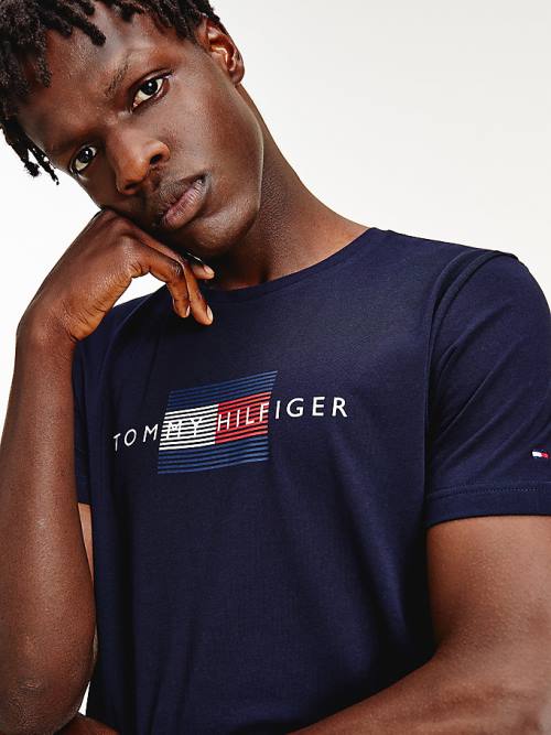 Blue Tommy Hilfiger Lines Logo Organic Cotton Men's T Shirts | TH924HRO