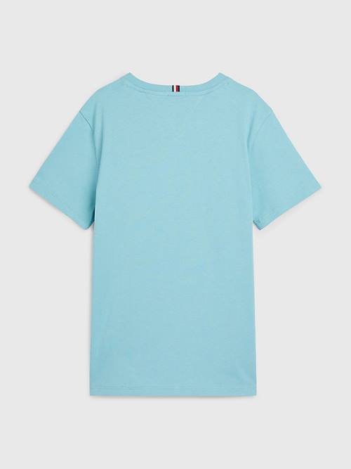 Blue Tommy Hilfiger Logo Boys' T Shirts | TH982FPD