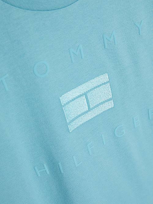 Blue Tommy Hilfiger Logo Boys' T Shirts | TH982FPD