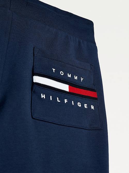 Blue Tommy Hilfiger Logo Embroidery Organic Cotton Joggers Boys' Pants | TH517QIB