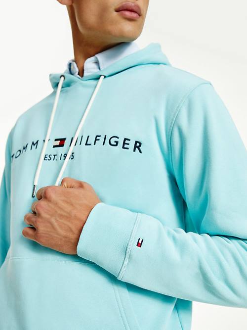 Blue Tommy Hilfiger Logo Men's Hoodie | TH318UCK