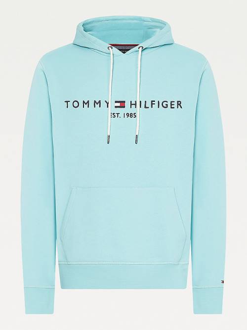 Blue Tommy Hilfiger Logo Men's Hoodie | TH318UCK