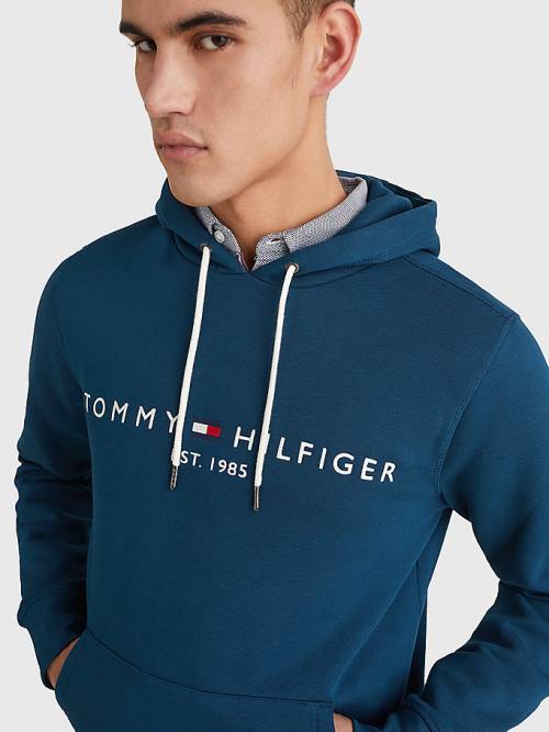 Blue Tommy Hilfiger Logo Men's Hoodie | TH569CRY