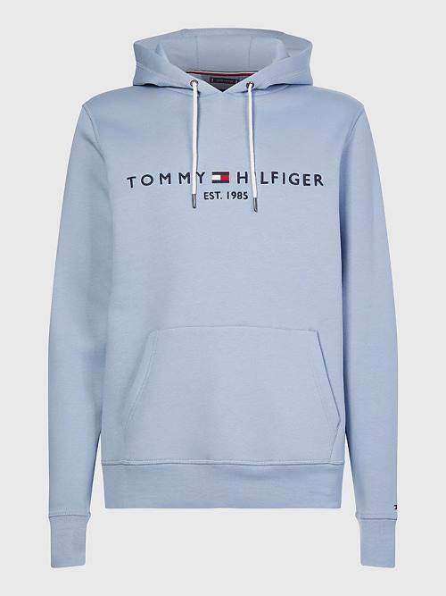 Blue Tommy Hilfiger Logo Men's Hoodie | TH618IVY