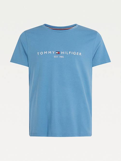 Blue Tommy Hilfiger Logo Men's T Shirts | TH752UAQ