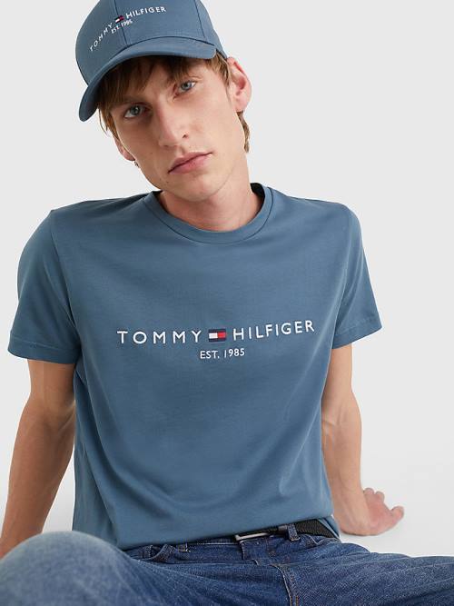 Blue Tommy Hilfiger Logo Men's T Shirts | TH810JZP