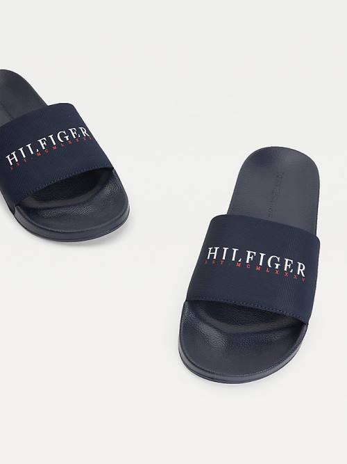 Blue Tommy Hilfiger Logo Slides Men's Sandals | TH201KIX