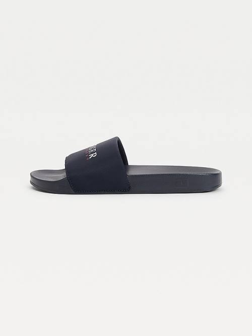 Blue Tommy Hilfiger Logo Slides Men's Sandals | TH201KIX