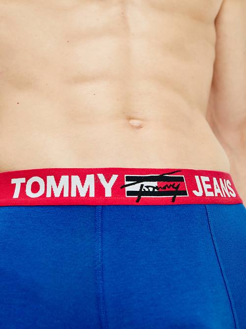 Blue Tommy Hilfiger Logo Waistband Trunks Men's Underwear | TH507XJK